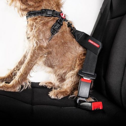 EzyDog Dog Car Restraint