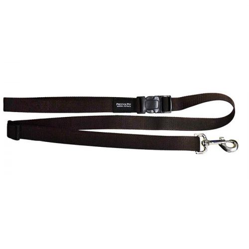 Adjustable dog lead brown