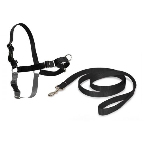 PetSafe EasyWalk Harness Black