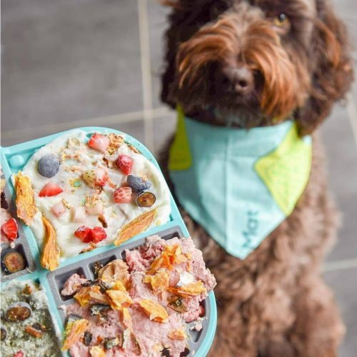 Lickimat Slomo Slow feed mat for dogs