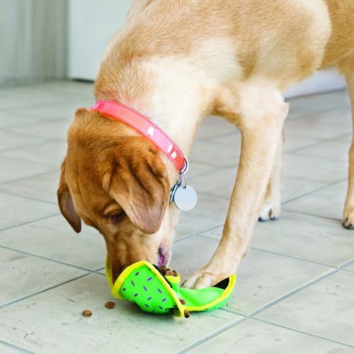 Kong Ballistic Hide n Treat Dog Toy