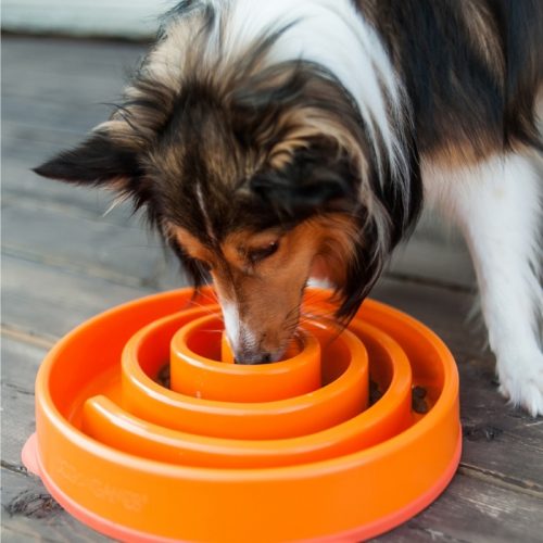 Outward Hound Fun Feeder_Orange_Large_Dog