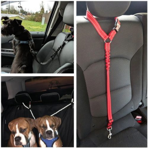Adjustable Bungee Headrest restraint for dogs