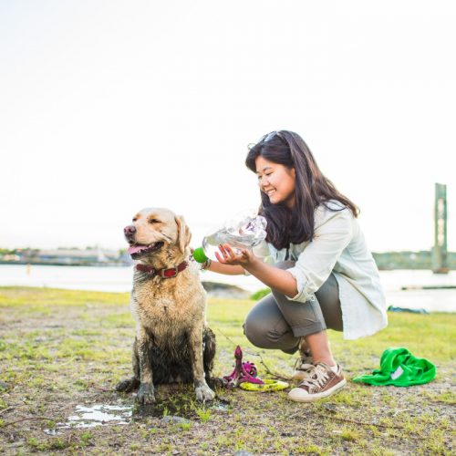 Kurgo Mud Dog Travel Shower_On the go