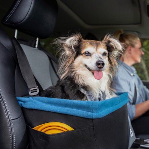 Kurgo Rover Booster seat for dogs