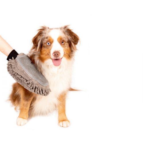 DGS Dirty Dog Grooming Mitt Grey
