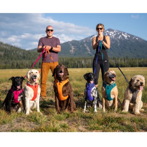 Ruffwear Front Range Harness Group Colours