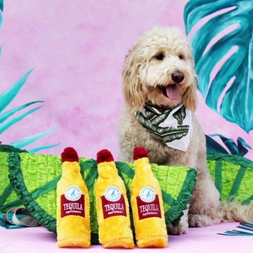 Zippy Paws Crusherz Dog Toy_Tequila Lifestyle