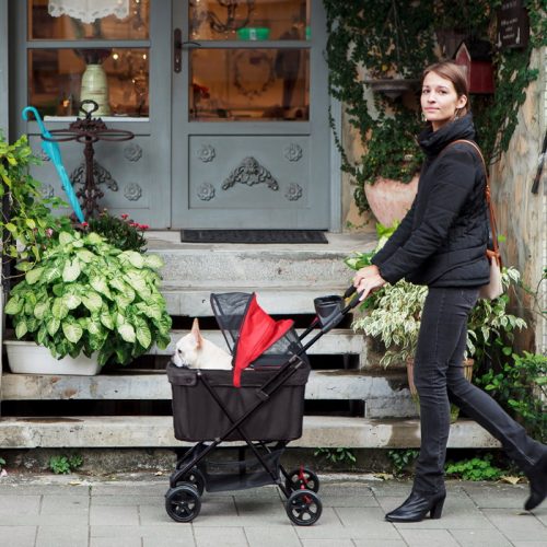 Easy Strolling Dog Pram Red Rouge Street