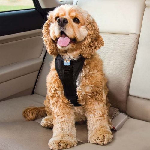 Kurgo Enhanced Strength Tru-Fit Dog Car Harness 7