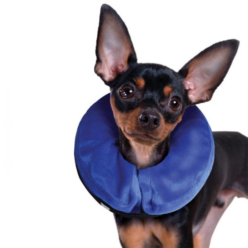 Kong Cloud Collar_Xsmall