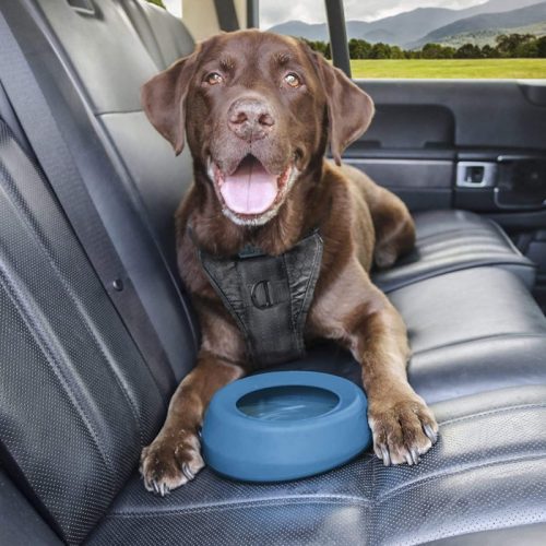Kurgo Splash Free Water Bowl