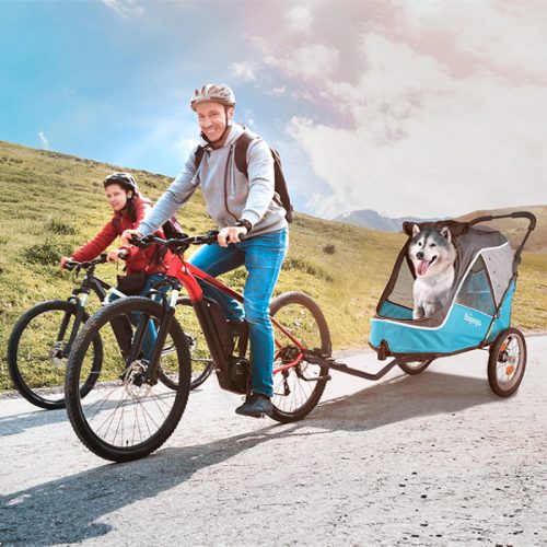Ibiyaya 2 in 1 bike trailer stroller_Blue_LS