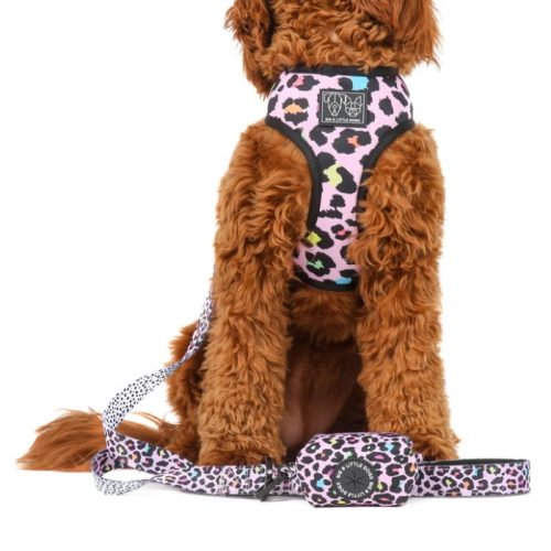 Big and Little Dogs_Poo Bag Holder_Spotted Leopard_LS