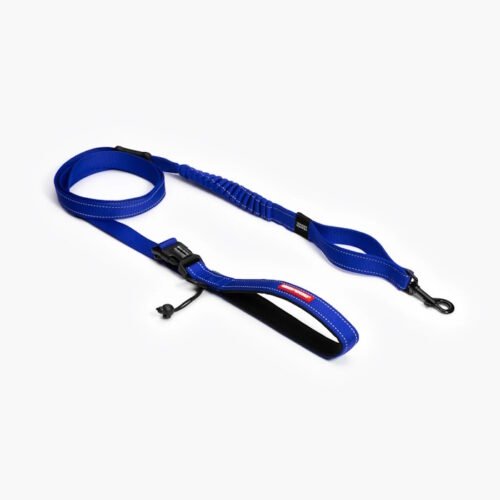 EzyDog Road Runner Dog Leash_Blue