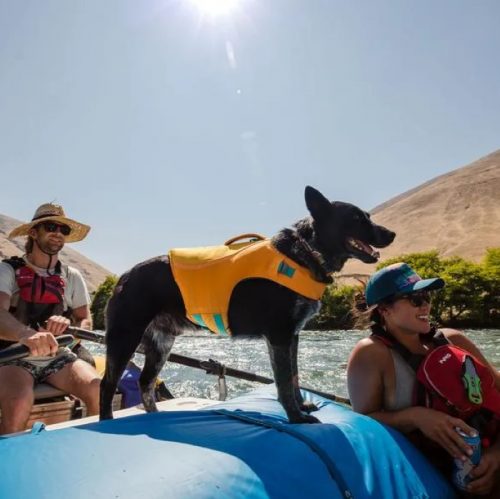 Ruffwear Float Coat Wave Orange LS Raft