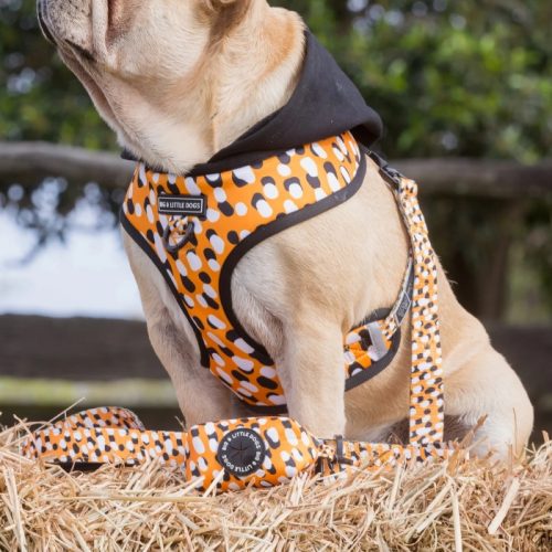 Big and Little Dogs_Poo Bag Holder_Spicy Mustard_LS