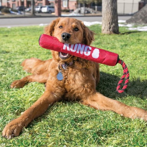 KONG Signature Stick Dog Toy with Rope