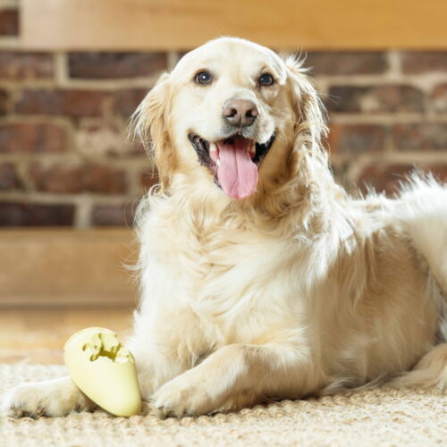 Frosty Cone frozen treats do toy