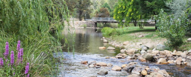 DogFriendly Camping ACT