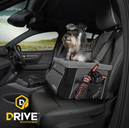 EzyDog Drive Car Booster Safety Seat