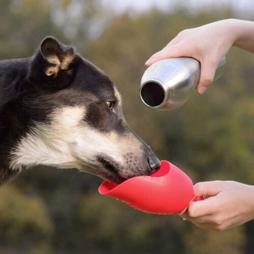 Kong H2O Dog Travel Water Bottle_740ml