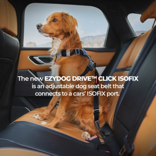 EzyDog ISOFIX Dog Car Restraint