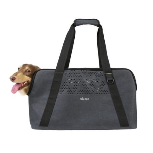 Ibiyaya Dachshund Breezy Wanderer Pet Tote Bag