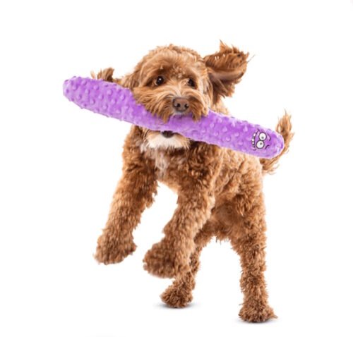 Guru Fry Guys Andy Squeaker Dog Toy