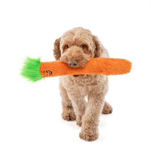 Guru Fry Guys Jerry Squeaker Dog Toy