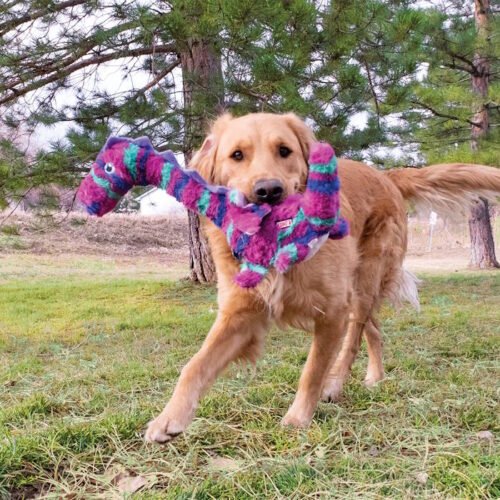 Kong Shakers Honkers Dog Toy