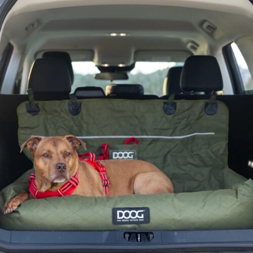 DOOG Large Car Travel Booster Seat Bed for Dogs_greenLS1