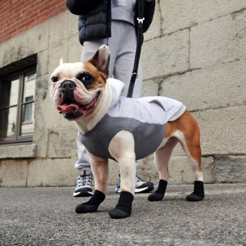 Goo-eez LITES dog boots_LS3