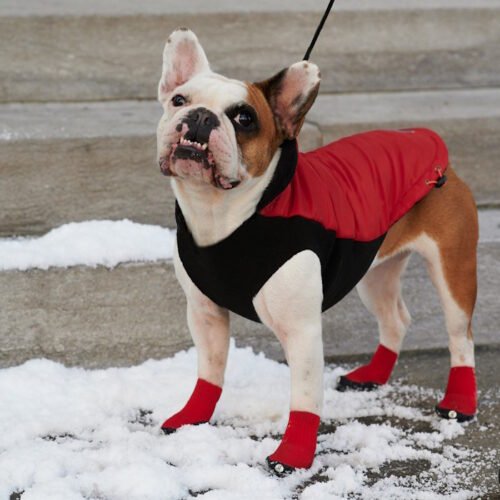 Goo-eez Ultras All Terrain Dog Boots LSRed5