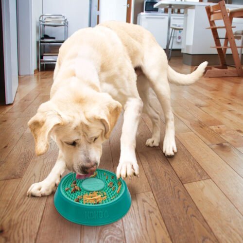 Kong Licks Spinz Slow Feeder Bowl Lrg Teal for dogs