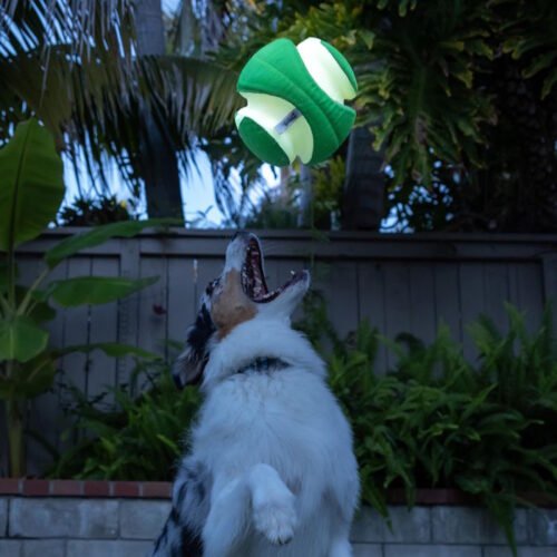 Chuckit Max Glow Kick Fetch Ball_dog ball