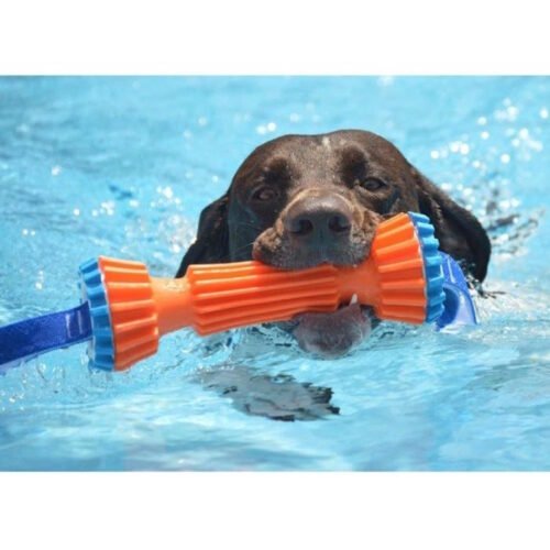 Chuckit! Rugged Bumper Dog Toy Small LS