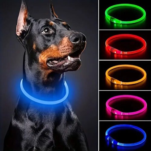 LED Rechargable Dog Collar_night light